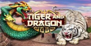 Dragon Tiger Tại 8DAY